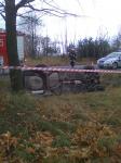 Kliknij, aby zobaczyæ. abcd0001-1025_t1.jpg