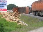 Kliknij, aby zobaczyæ. p6240002a_t1.jpg