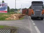 Kliknij, aby zobaczyæ. p6240003a_t1.jpg