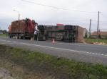 Kliknij, aby zobaczyæ. p6240012a_t1.jpg